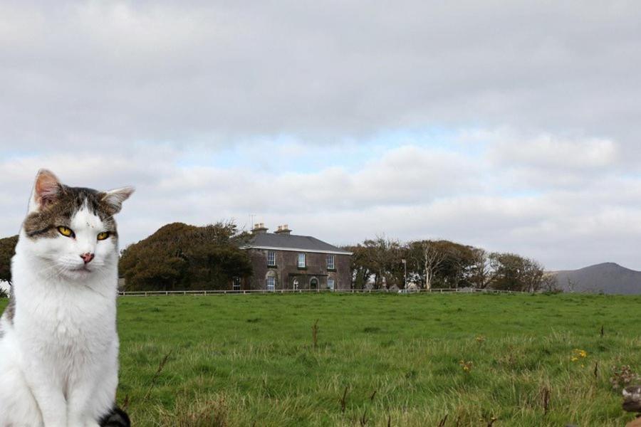 Ballintaggart House Hotel Dingle Zewnętrze zdjęcie