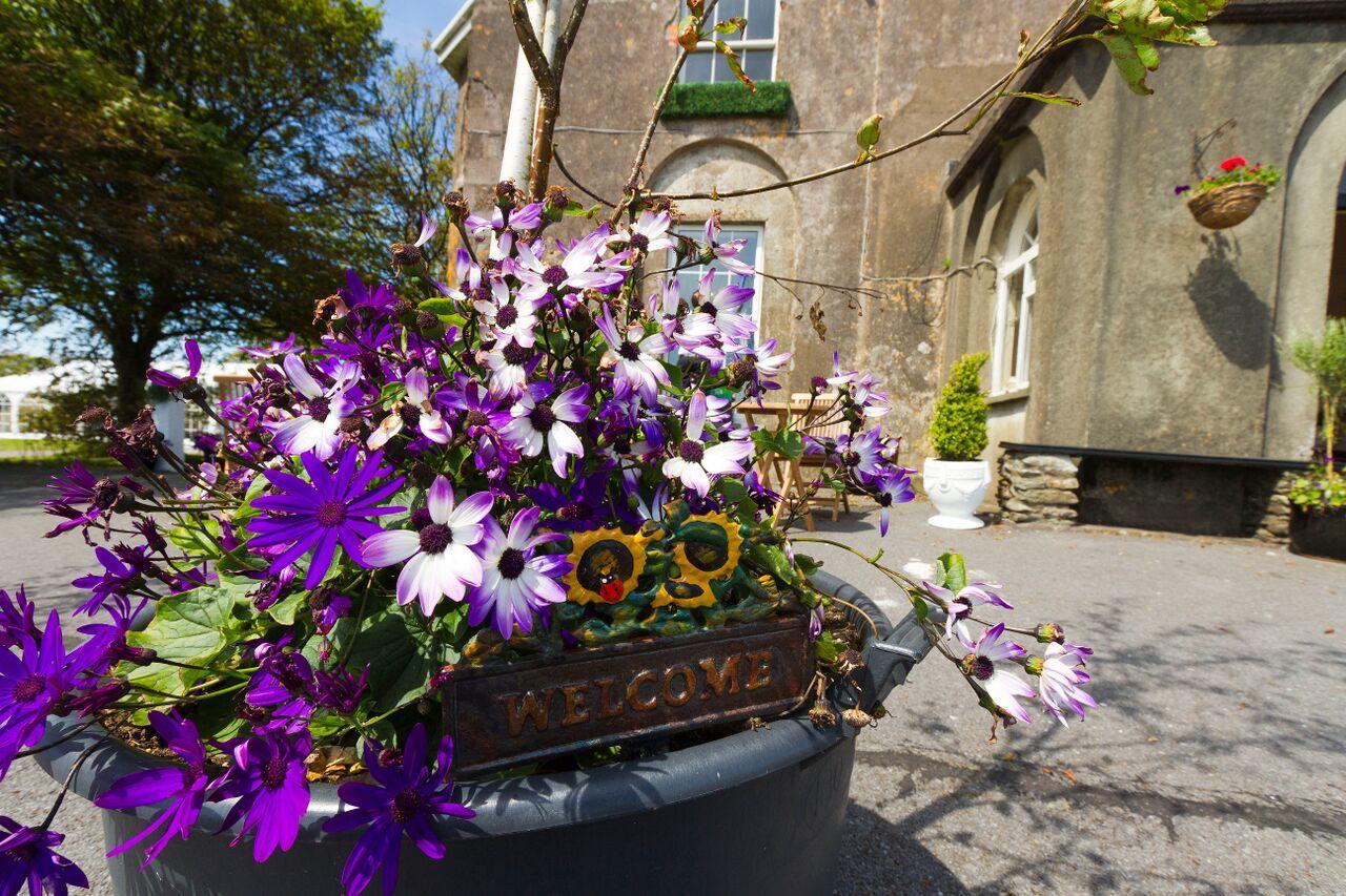 Ballintaggart House Hotel Dingle Zewnętrze zdjęcie